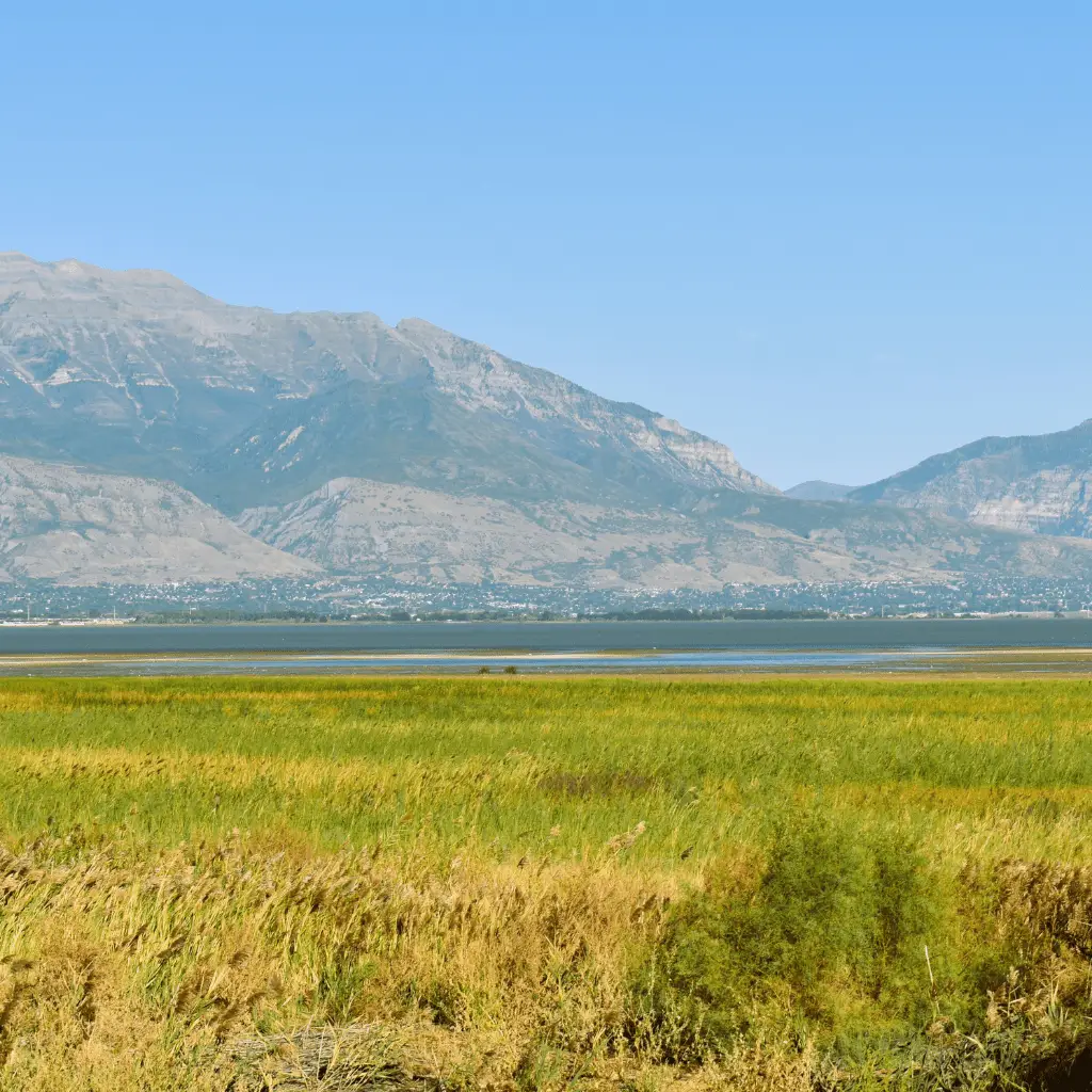 Therapy near Vineyard UT - Willow Therapy Services Orem office